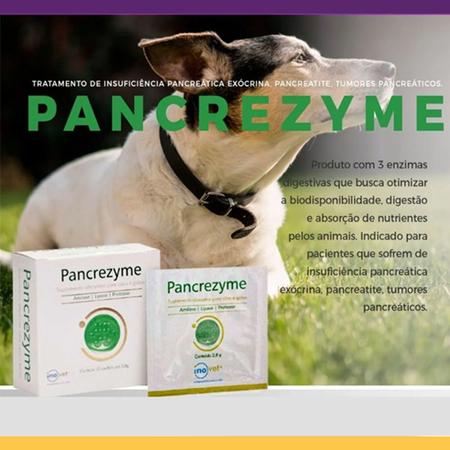 Imagem de Pancrezyme Inovet Suplemento Alimentar para Cães e Gatos - 30 Sachês