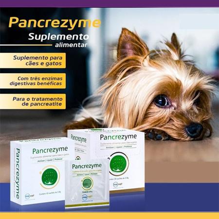 Imagem de Pancrezyme Inovet Suplemento Alimentar para Cães e Gatos - 30 Sachês