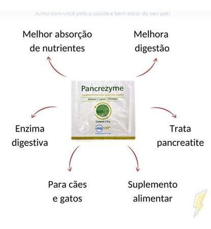 Imagem de Pancrezyme Suplemento Alimentar 10 Sachês 2,8g - Inovet (para cães e gatos com pancreatite) 