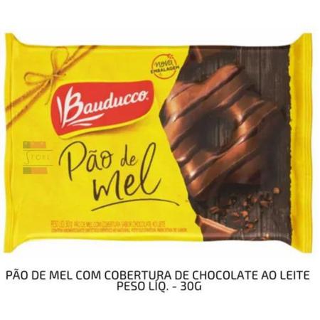 Pão de Mel com Cobertura Sabor Chocolate ao Leite BAUDUCCO 30g
