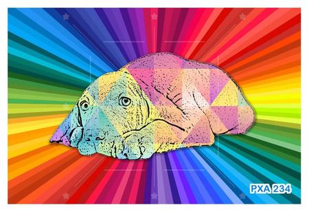 Imagem de Papel De Parede 3D Animais Pop Art Cachorro Pet 3,5M Pxa234