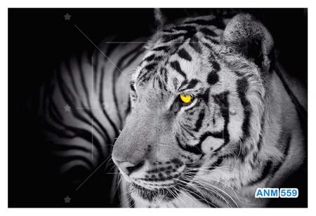 Papel De Parede 3D Animais Tigre Preto E Branco 3,5M Anm559 - Você Decora -  Papel de Parede - Magazine Luiza