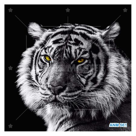 Papel De Parede 3D Animais Tigre Preto E Branco 3,5M Anm560 - Você Decora -  Papel de Parede - Magazine Luiza