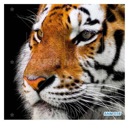 Papel De Parede 3D Animais Tigre Rosto Olhando 3,5M Anm558 - Você