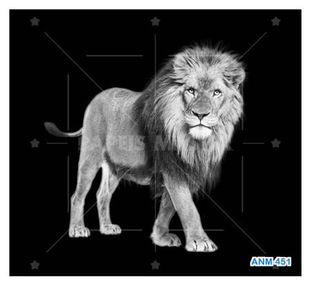 Papel De Parede 3D Animais Tigre Preto E Branco 3,5M Anm560 - Você Decora -  Papel de Parede - Magazine Luiza