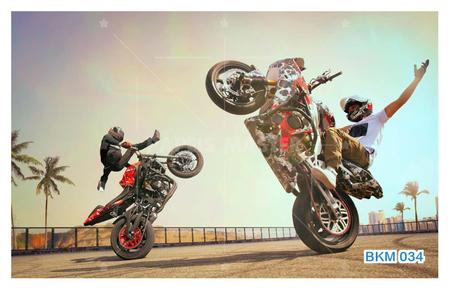 Papel De Parede 3d Moto Manobra Freestyle Grau 3,5m² Bkm35