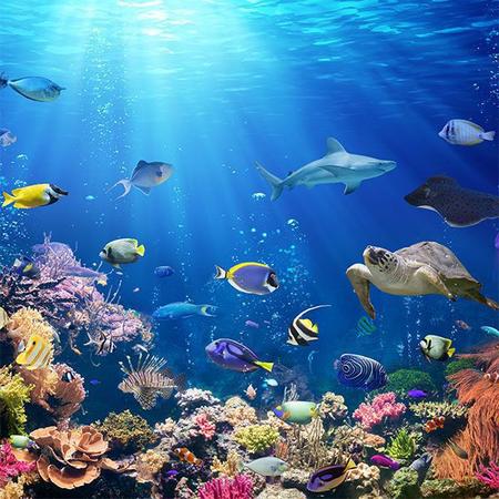 Imagem de Papel de Parede 3D Oceano Peixes - Papel de Parede Paisagem