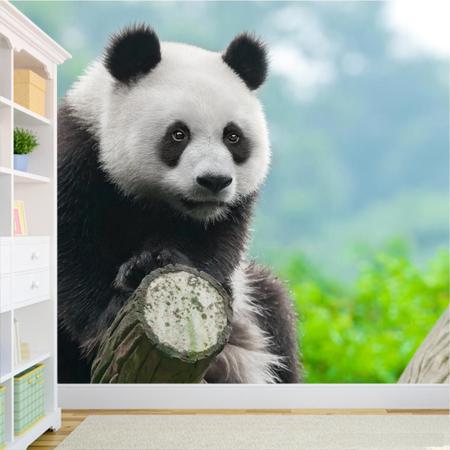 Papel De Parede Adesivo Panda Realista - Aum adesivos - Papel de Parede -  Magazine Luiza