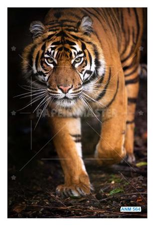 Pôster de tigre 3D, mural de decoração de parede, papel de parede