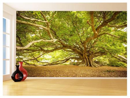 Papel De Parede Floresta Árvore Gigante Folha 3,5M Xna236 - Você Decora Imagem de Papel De Parede Floresta Árvore Gigante Folha 3,5M Xna236