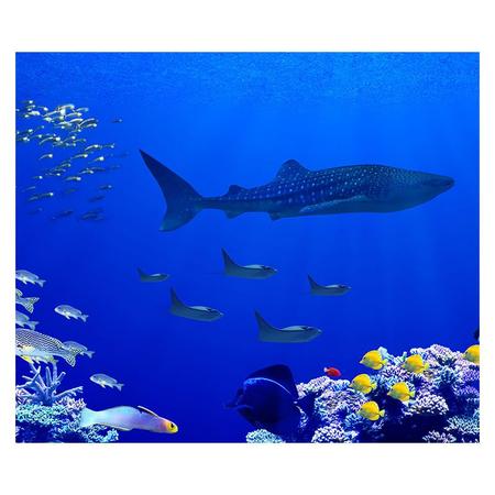 Papel de Parede 3D Oceano Peixes - Papel de Parede Paisagem - Final Decor - Papel  de Parede - Magazine Luiza