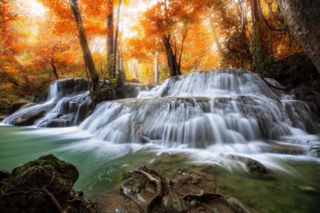 Imagem de Papel de Parede - Painel Fotográfico Cachoeira 22