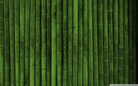 Papel de Parede Paisagens Floresta 103 - 1,00 X 1,00 - Voce Decorando Imagem de Papel de Parede Paisagens Floresta 103 - 1,00 X 1,00