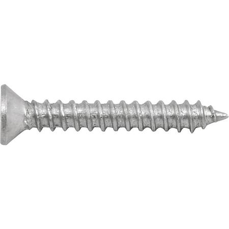 Imagem de Parafuso Autoatarraxante Inox 2,9 mm x 19,0 mm Cabeça Chata Phillips com 10 peças Vonder