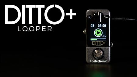 Imagem de Pedal TC Electronic Ditto+ Looper