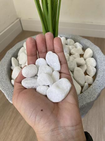 Imagem de Pedra Branca De Jardim e Aquarios Dolamita Branco Nº1 4KG 