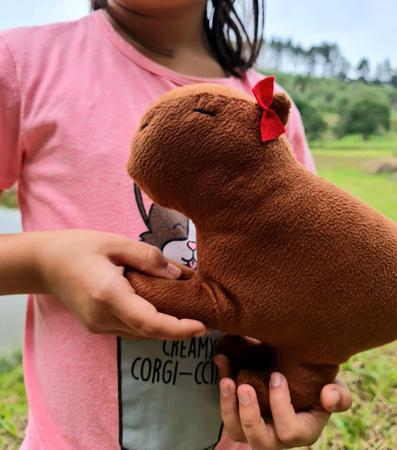 Bicho de Pelúcia Antialérgico - Capivara Roi Roi P 27cm - Ioiô de