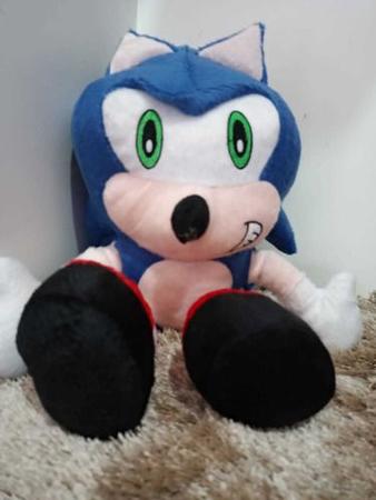 Boneco De Pelúcia Sônic Grande 52 Centímetros Bordado - Sonic - Pelúcia -  Magazine Luiza