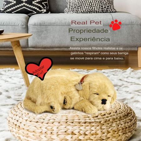 Pelucia Filhote Cachorro Perfect Petzzz Golden Retriever Respira