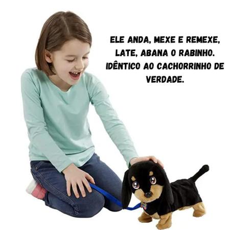 Santander Brasil - Um cachorro de pelúcia que fala, canta e conta piadas +  dois empreendedores cheios de sonhos + o apoio de um banco internacional =  uma multinacional em expansão. A