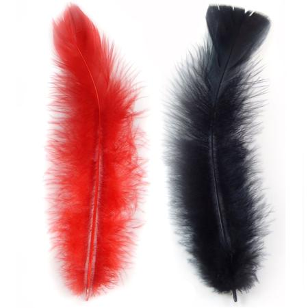 Pena de Galinha Peninhas Penas Coloridas Artesanato 200 Und - Plumas e Penas Imagem de Pena de Galinha Peninhas Penas Coloridas Artesanato 200 Und