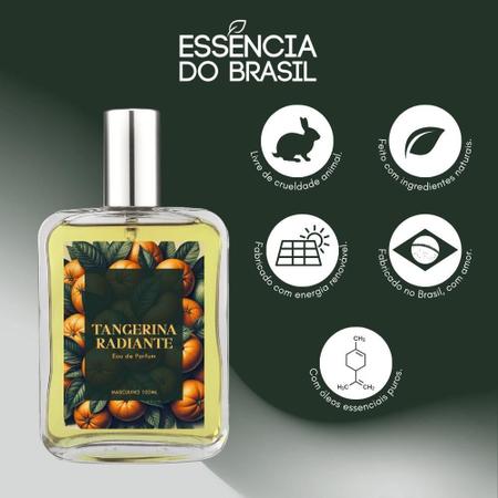 Imagem de Perfume Tangerina Radiante Masculino 100Ml Natural E Vegano