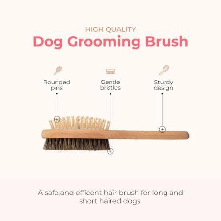 Imagem de Pet Brush Paw Fume 2 em 1 para cães e gatos