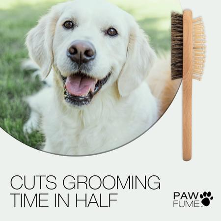 Pet Brush Paw Fume 2 em 1 para cães e gatos Imagem de Pet Brush Paw Fume 2 em 1 para cães e gatos