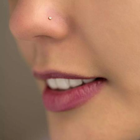 Piercing Nariz Em Ouro 18k Nostril Com Pedra Zircônia 1,50mm Ponto Luz -  Primus LB Joias - Piercing - Magazine Luiza