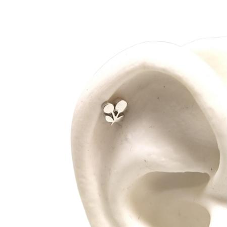 Imagem de Piercing Tragus e Cartilagem Cereja Em Aço 316L