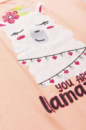 Imagem de Pijama Infantil Menina You Are Llamazing