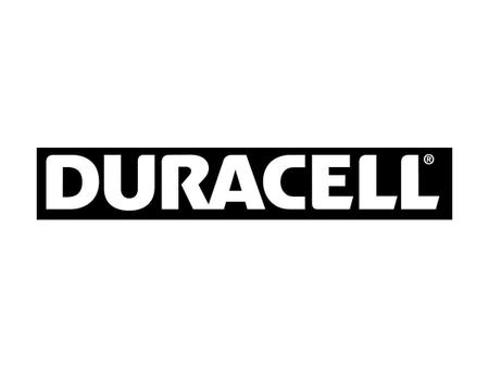 Imagem de Pilha Alcalina Grande Duracell D Cartela Com 2 Unidades