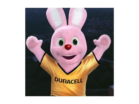 Imagem de Pilha Alcalina Grande Duracell D Cartela Com 2 Unidades