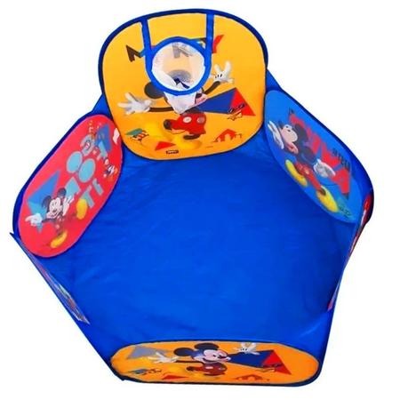 Piscina de Bolinhas Infantil Azul Patrulha Cães e 100 Bolinhas - Dobrável  Portátil com Cesta para Crianças Basquete : : Brinquedos e  Jogos