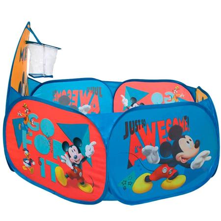 Piscina de Bolinhas Infantil Azul Patrulha Cães e 100 Bolinhas - Dobrável  Portátil com Cesta para Crianças Basquete : : Brinquedos e  Jogos