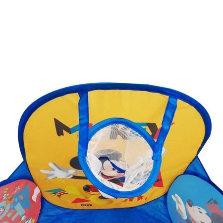 Piscina de Bolinhas Infantil Azul Patrulha Cães e 100 Bolinhas - Dobrável  Portátil com Cesta para Crianças Basquete : : Brinquedos e  Jogos