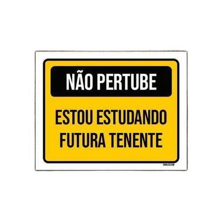 Imagem de Placa Não Perturbe Estudando Futura Tenente 18X23Cm