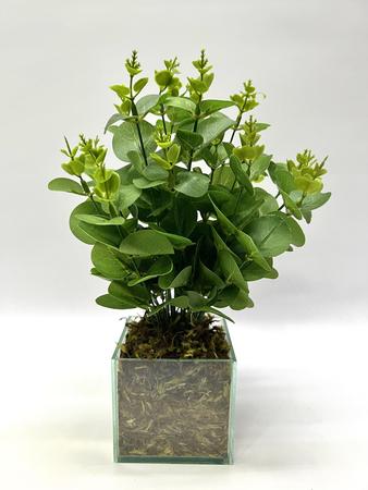 Imagem de Planta Artificial Arranjo Folhagem Eucalipto Verde Vaso Vidro Decoração Mesa Bancada