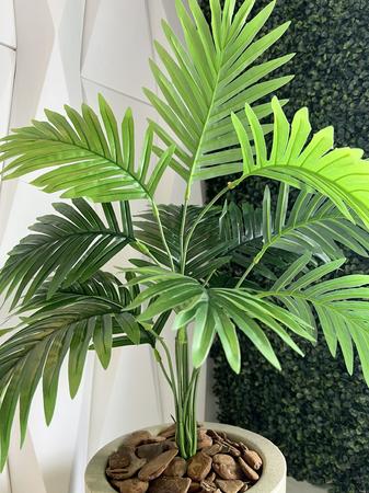 Imagem de Planta Artificial Palmeira com Vaso Polietileno Decoração
