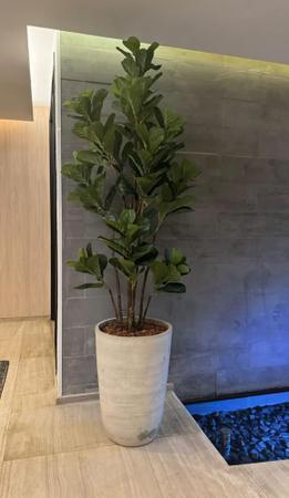 Imagem de Planta ficus lyrata artificial 1.50mt sem o vaso