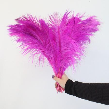 PLUMA AVESTRUZ ROSA - FUCSIA