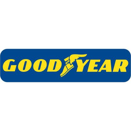 Imagem de Pneu Goodyear Aro 15 195/55r15 85H SL EfficientGrip Performance