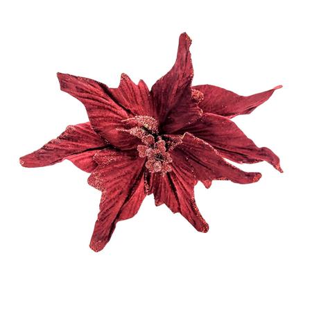 Imagem de Poinsettia Vinho Aveludada 50X22Cm Bico De Papagaio Natal