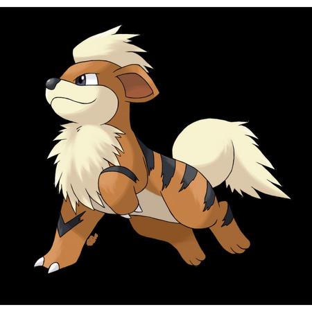 Pokémon - Cinto de batalha com Pokébolas Sunny - Growlithe - Loja de  Brinquedos