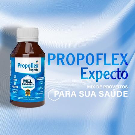 Imagem de Propoflex Expectro  Mel + Própolis Verde + Abacaxi, Malva, Romã + Copaíba + Eucalipto + Vitamina C e Zinco  150 ml  Apis Vida