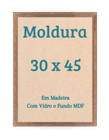 Imagem de Quadro 30x45 Para Parede Com Vidro ou Moldura 45x30 Madeira Laqueada