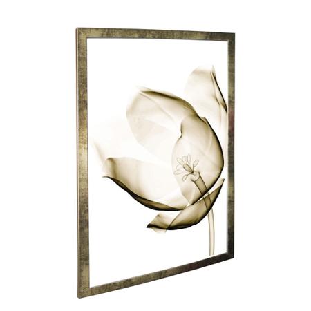 Imagem de Quadro 67x45cm 3pçs flor raio-x marrom mold doura