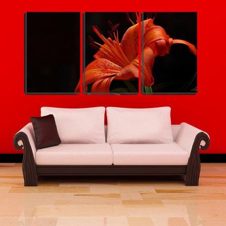 Imagem de Quadro canvas 30x66 flor vermelha fundo pb