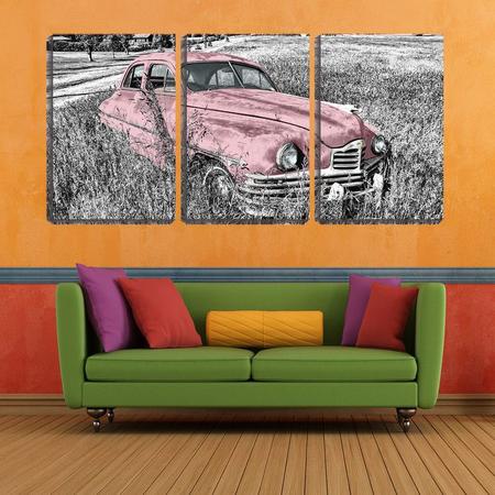Imagem de Quadro canvas 45x96 carro velho sobre o mato pb