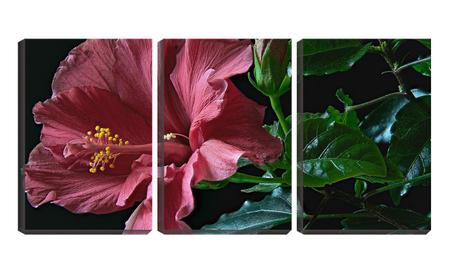 Imagem de Quadro canvas 68x126 folhas verdes e flor vermelha